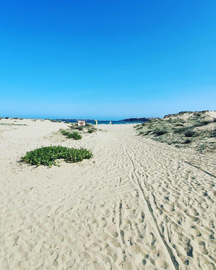 Apartament Cacao Residence Sunny Beach Dış mekan fotoğraf